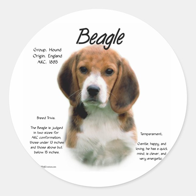 Sticker Rond Histoire du beagle ; Tout sur les Beagles (Devant)