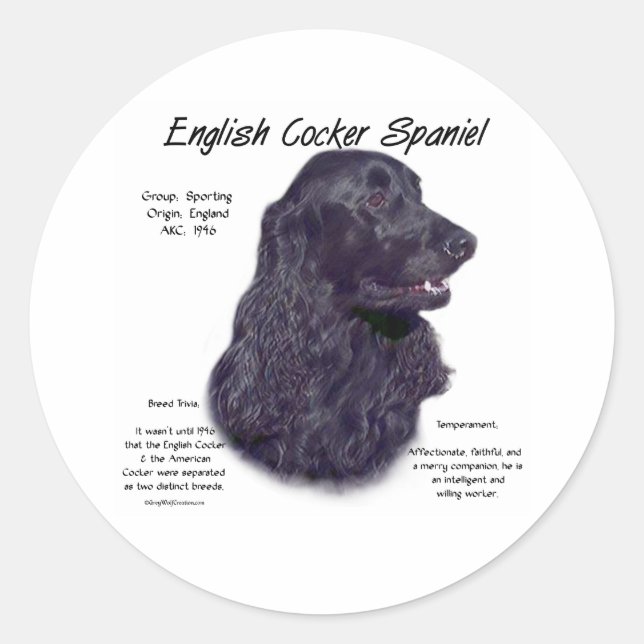 Sticker Rond Histoire du Cocker Spaniel Anglais noir (Devant)