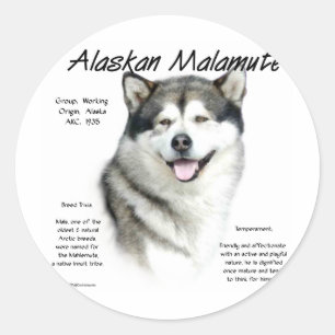 Sticker Rond Histoire du malamute en Alaska, Tout sur les malam