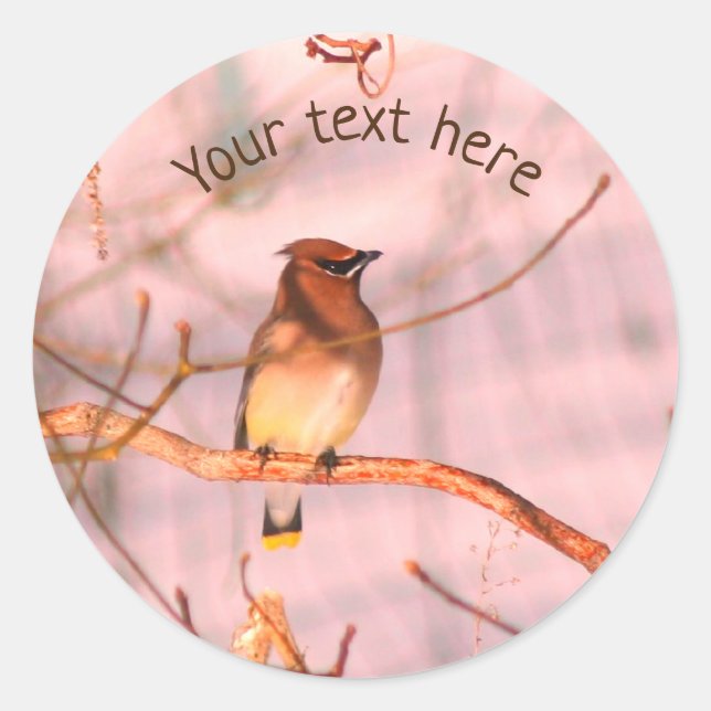 Sticker Rond Hiver cirage Faune Nature Personnalisée (Devant)
