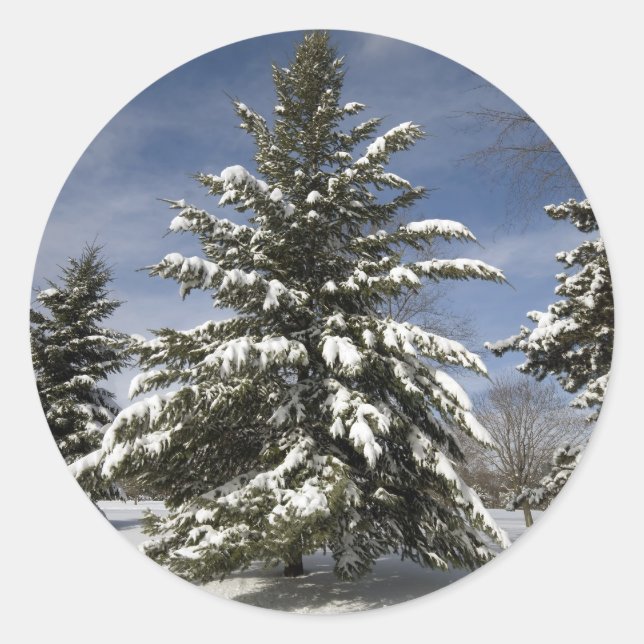 Sticker Rond Hivers à venir (Devant)