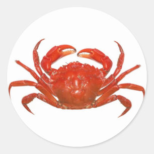 Sticker Rond Homard rouge à personnaliser
