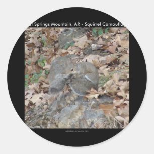 Sticker Rond Hot Springs Mountain, AR Squirrel Cadeaux Camoufla