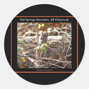 Sticker Rond Hot Springs Mountain, Arkansas Chipmunk Cadfts