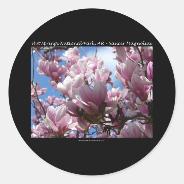Sticker Rond Hot Springs National Park AR Saucer Magnoia Cadeau (Devant)