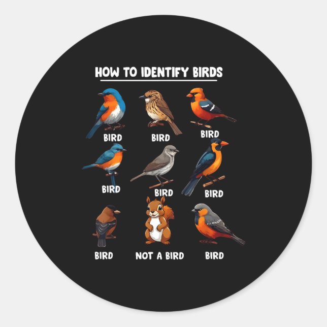 Sticker Rond How To Identify Birds Funny Birds Identification B (Devant)