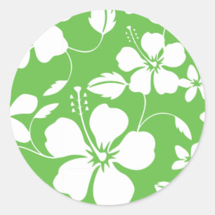 STICKER ROND HULA HAÏIENNE (HIBISCUS) LIME