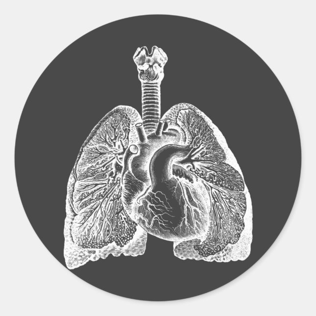 Sticker Rond Human Biology Anatomy Heart Lungs Science Art   (Devant)