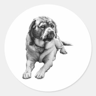 Sticker Rond Humeur de saison douce