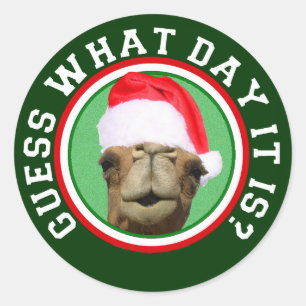 Sticker Rond Hump Day Camel Devinez Quel Jour C'Est Noël