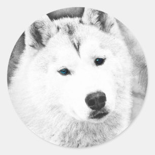 Sticker Rond Husky Sibérien Blanc avec Dessin d'Art Blue Eyes