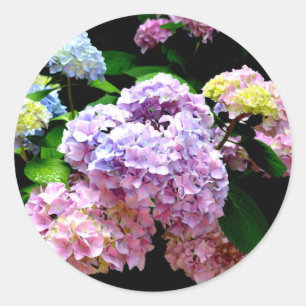 Sticker Rond Hydrangea