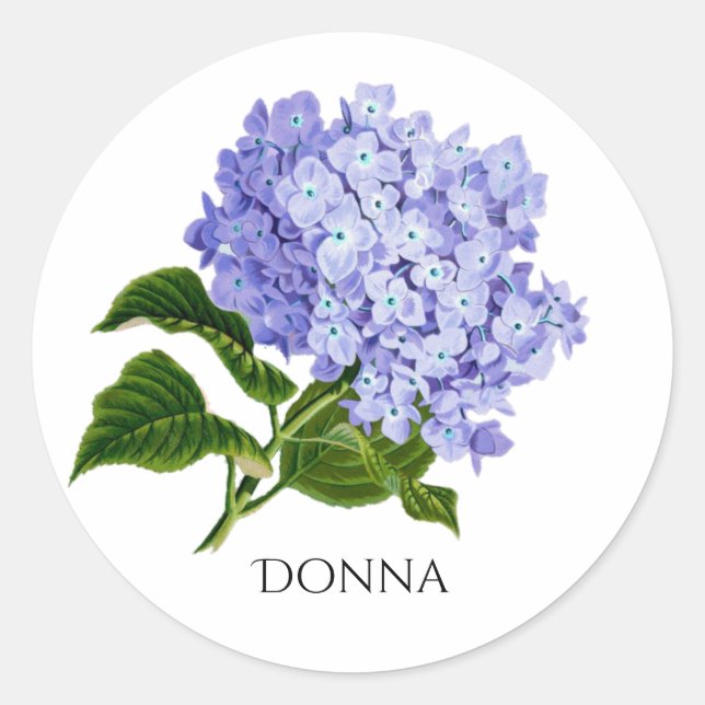 Sticker Rond Hydrangea Florale d'Été   (Devant)