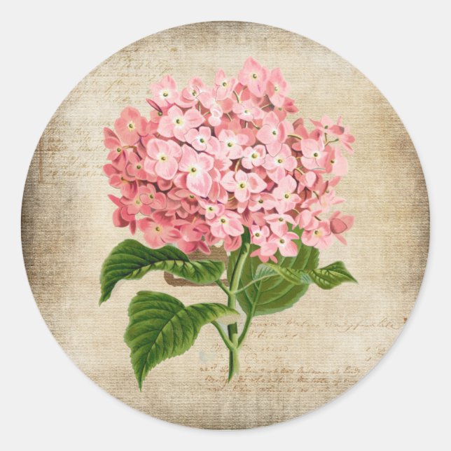 Sticker Rond Hydrangea Rose (Devant)