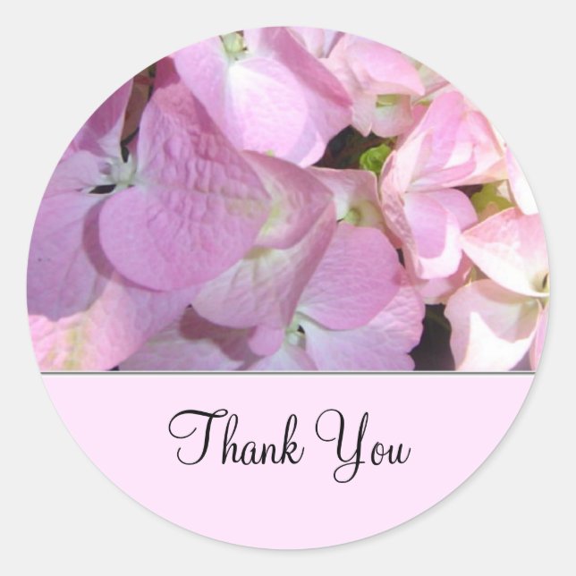 Sticker Rond Hydrangea Rose Clair Merci (Devant)