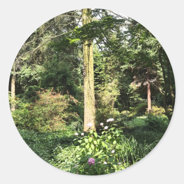 Sticker Rond Hydrangea Wood Trees (Devant)