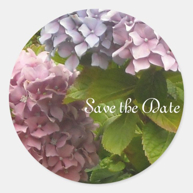 Sticker Rond Hydrangeas Élégantes (Devant)