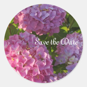 Sticker Rond Hydrangeas roses