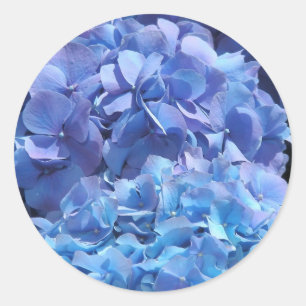 Sticker Rond Hydrangée bleue