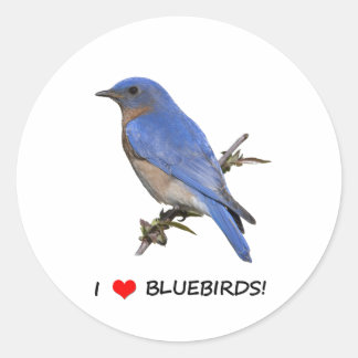 Sticker Rond I Love (coeur) Bluebirds
