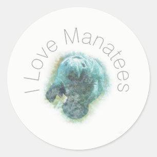 Sticker Rond I Love Manatees Art