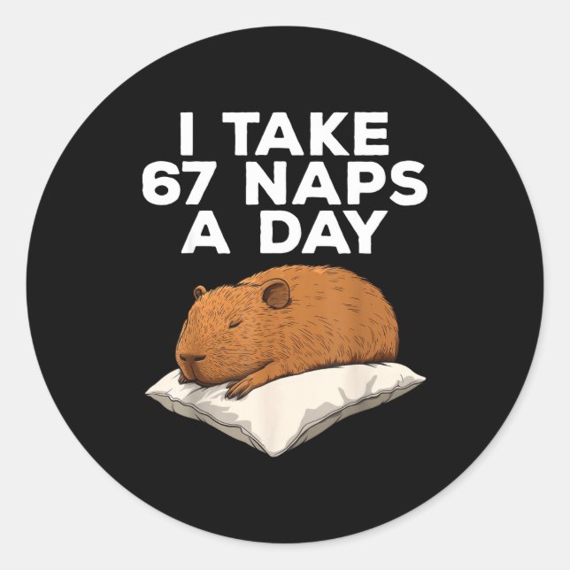 Sticker Rond I Take 67 Naps A Day Funny Capybara Six Seven Meme (Devant)