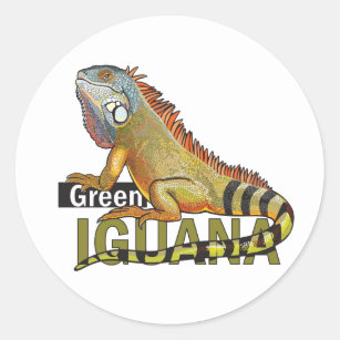 Sticker Rond iguane vert
