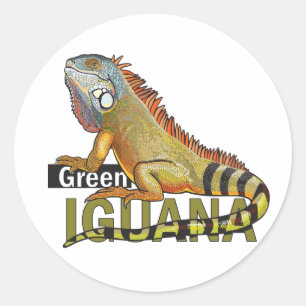 Sticker Rond iguane vert