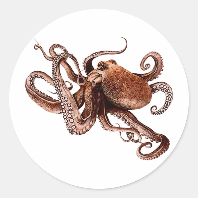 Sticker Rond Iker L'Octopus (Devant)