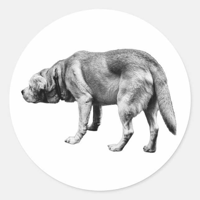 Sticker Rond Il connaît la voie (Devant)