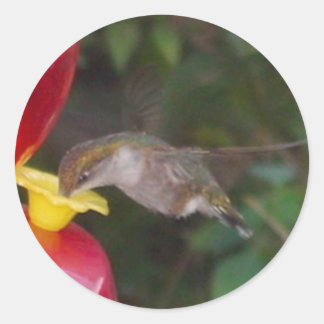 Sticker Rond Il est temps de manger