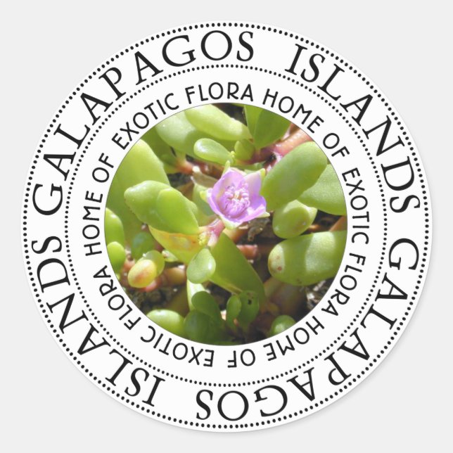 Sticker Rond Îles Galapagos Plante du Pérou (Devant)