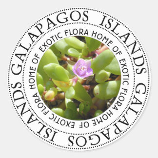 Sticker Rond Îles Galapagos Plante du Pérou