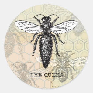 Sticker Rond Illustration Antique d'Insecte de Bourdon Reine Ab