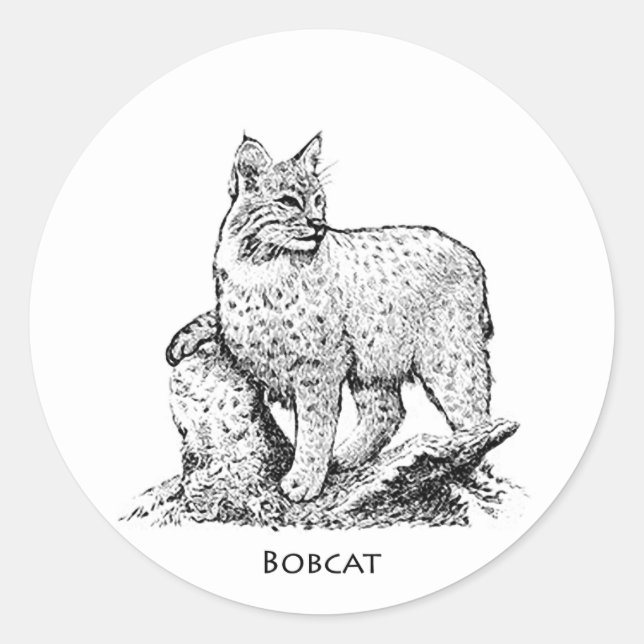 Sticker Rond Illustration de chat sauvage (Devant)