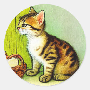 Sticker Rond Illustration de chat tigré vintage