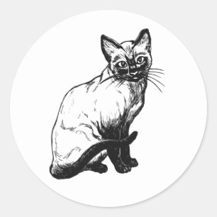 Sticker Rond Illustration de chaton mignon chat noir et blanc