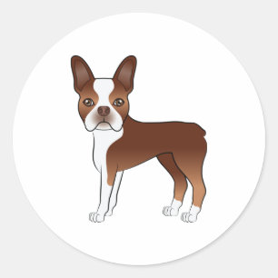 Sticker Rond Illustration de chien Boston Terrier rouge et blan