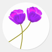 Illustration de deux fleurs de pavot violet Lilac