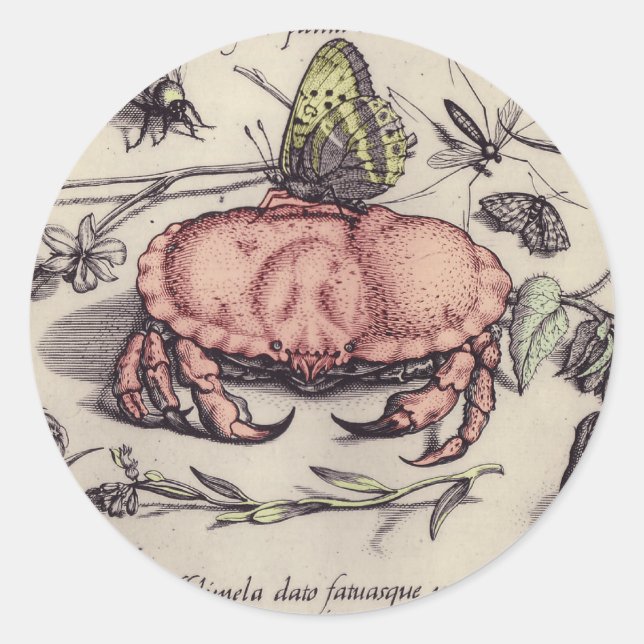 Sticker Rond Illustration de fleur d'insecte botanique de crabe (Devant)