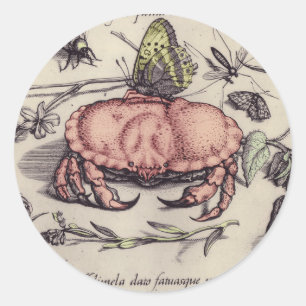 Sticker Rond Illustration de la fleur d'insectes botaniques du