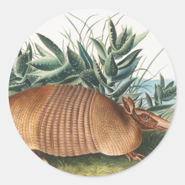 Sticker Rond Illustration de l'Armadillo (Dasypus Peba) à neuf  (Devant)