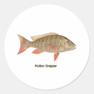 Sticker Rond Illustration de Mutton Snapper