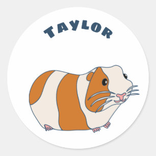 Sticker Rond Illustration de porc de Guinée animal Personnalisé