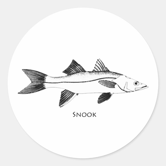 Sticker Rond Illustration de Snook (Devant)