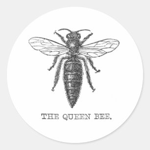 Sticker Rond Illustration des abeilles de l'insecte de la reine