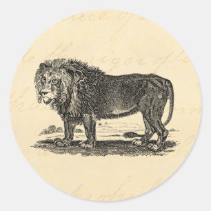 Sticker Rond Illustration du lion vintage - Animal africain des