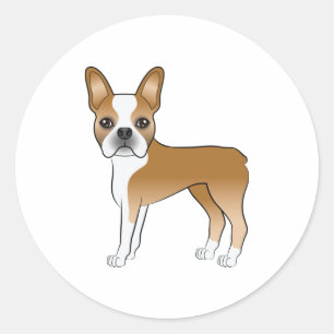 Sticker Rond Illustration d'un chien Boston Terrier fauve et bl