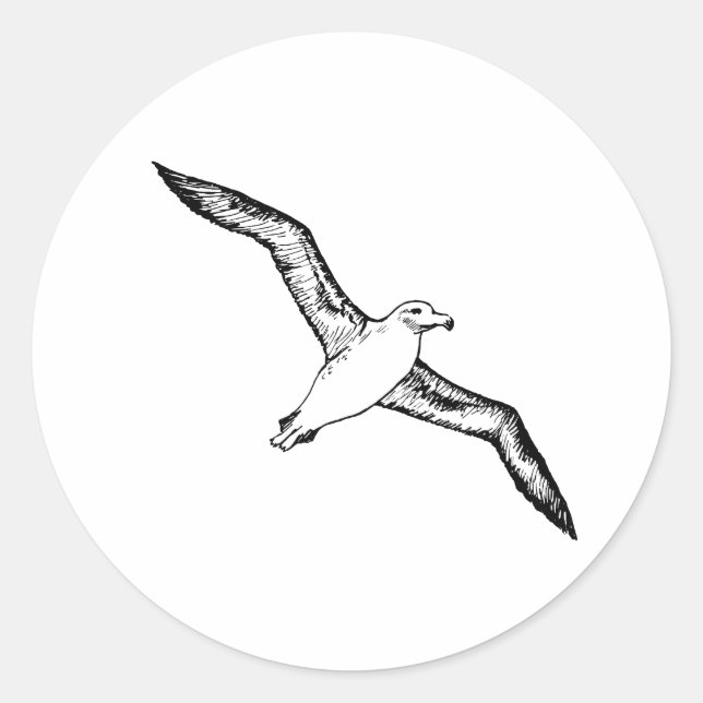 Sticker Rond Illustration Flying Albatross (Devant)