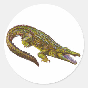 Sticker Rond Illustration verte vintage de crocodile
